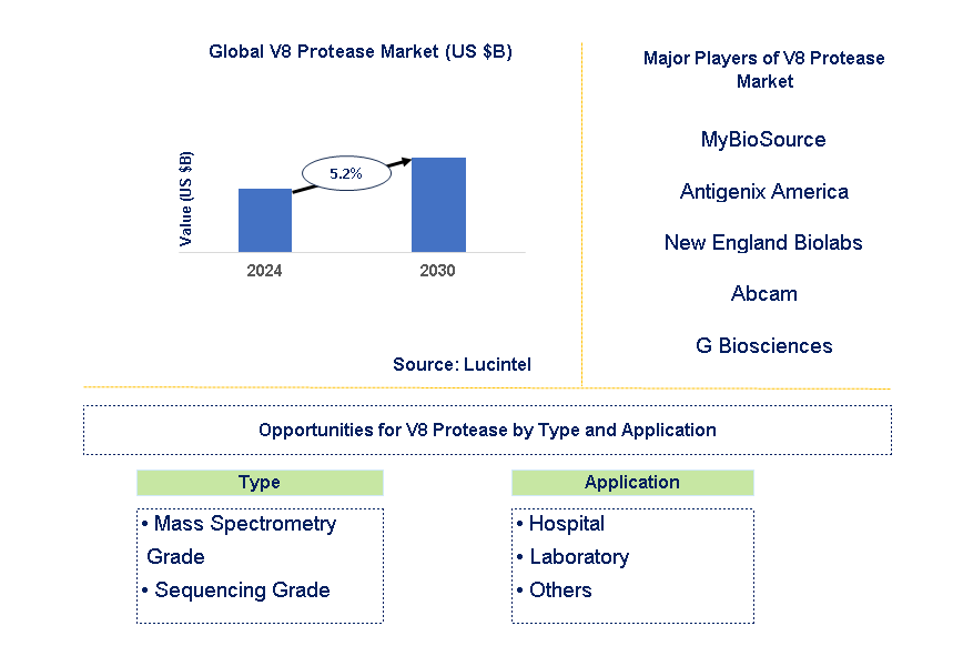 V8 Protease Market Trends and Forecast
